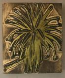 Click for more details.